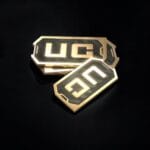1700+250 Bgmi UC
